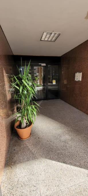 Appartamento Luxury 23 *
